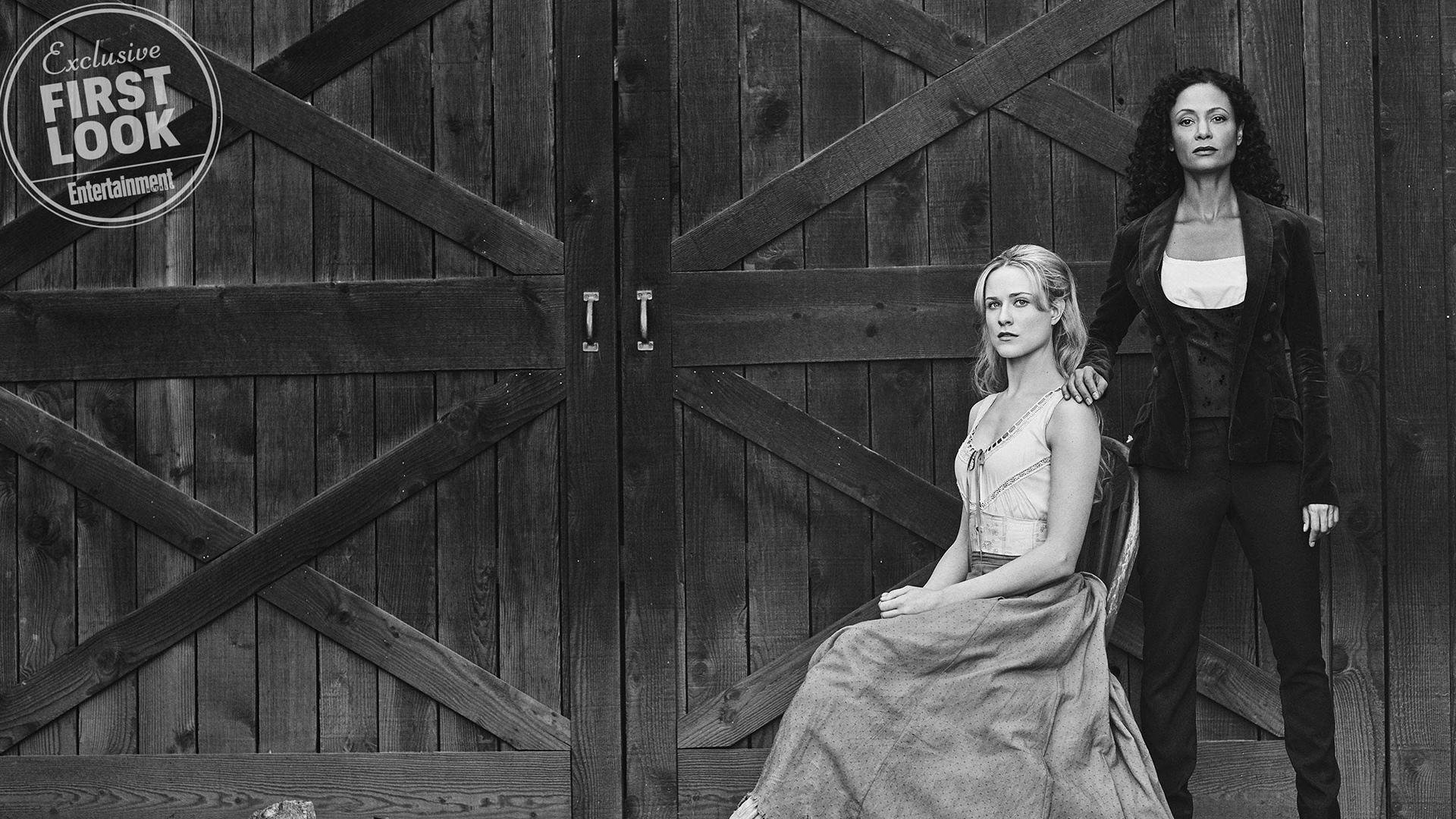 爱游戏-“冠军的瞬间：感人全场的夺冠时刻”，冠军的视频