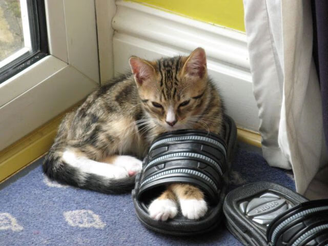 AIYOUXI.COM-“青少年足球公益跑活动引领全民健身热潮”，足球公益活动标语