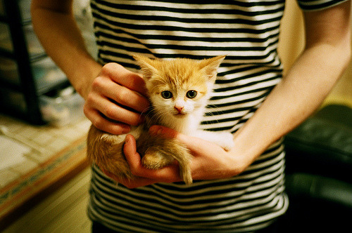 爱游戏官方网站-史上最年轻“欧洲金靴”得主深度揭秘，最年轻的欧洲金靴